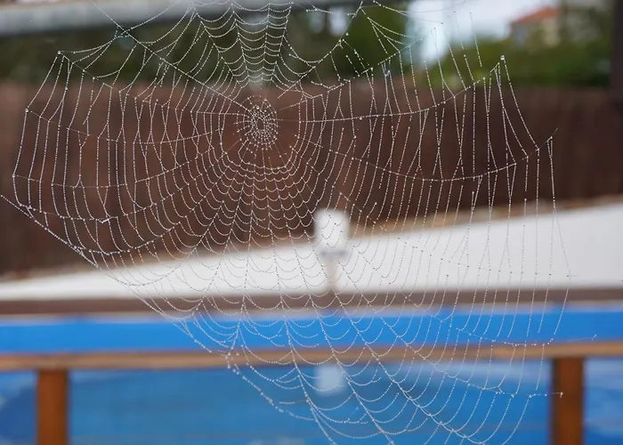 Bed & Breakfast Casa Do Ze - Al Soito (Guarda)